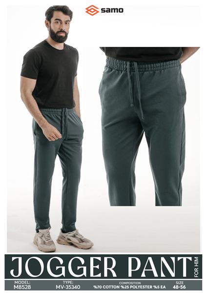 Штаны спорт Imlion (48-56) 8528 d.grey (деми)