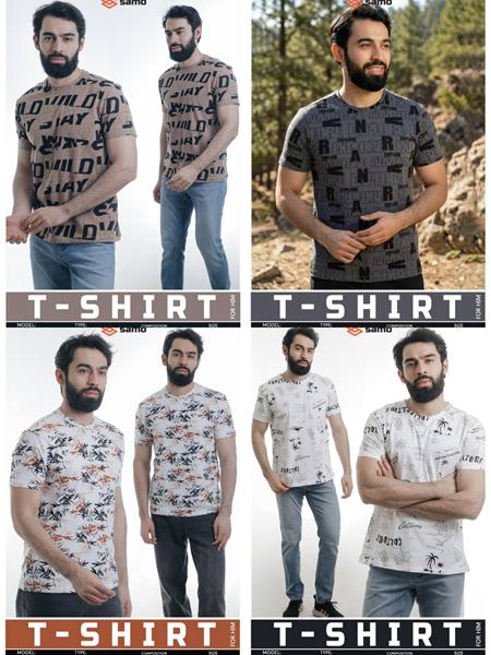 Футболка Imlion (48-56) 8845 white-grey (лето)