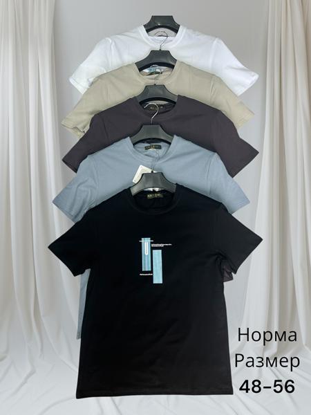 Футболка Hai (48-56) H1451 d.grey (лето)