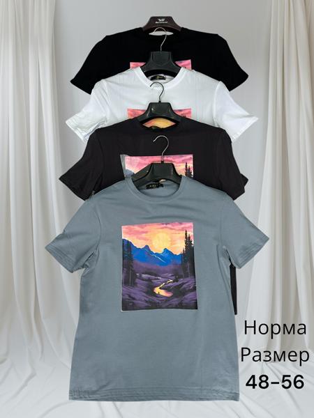 Футболка Hai (48-56) H1457 l.grey (лето)