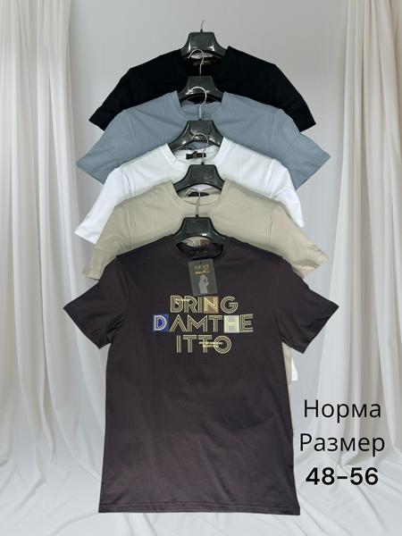 Футболка Hai (48-56) H1477 beige (лето)