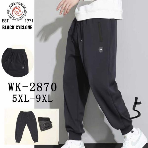 Штаны спорт Giang (5XL-9XL) 2870 black (деми)