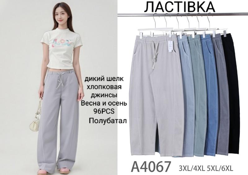 Штаны Giang (3XL-6XL) A4067 mix (деми)