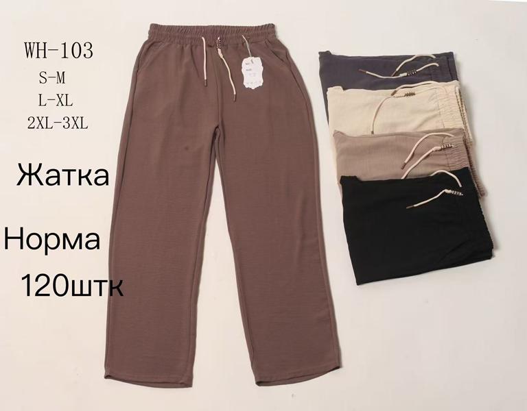 Штаны спорт Giang (S-3XL) WH101 mix (деми)