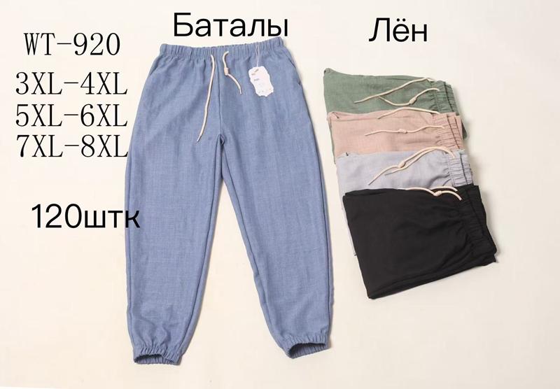 Штаны Giang (3XL-8XL) WH920 mix (деми)