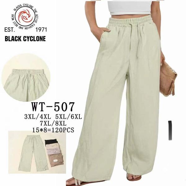 Штаны Giang (3XL-8XL) WT507 mix (деми)