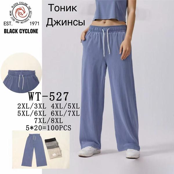 Штаны Giang (2XL-8XL) WT527 mix (деми)