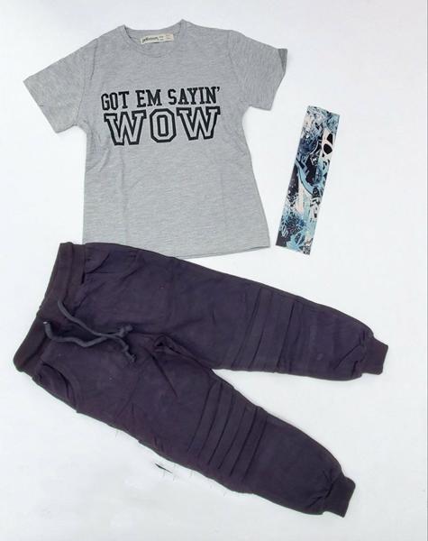 Костюм Meloria (3-10) ML5674 grey (лето)