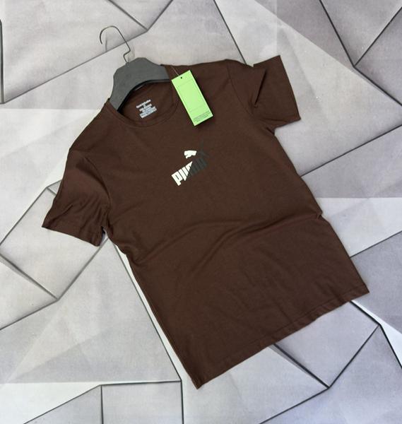 Футболка Rassul (S-2XL) 66971 brown (лето)