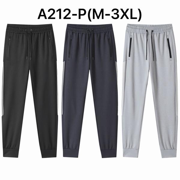 Штаны спорт Ale-Ate (M-3XL) A212P l.grey (деми)