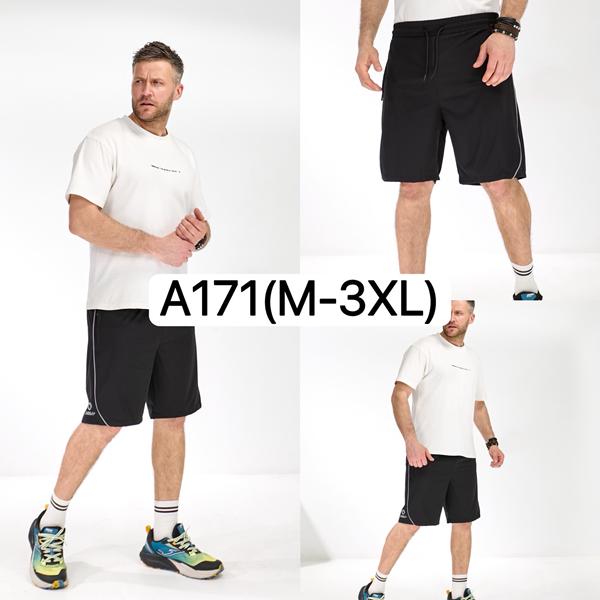 Шорты LiOpt (M-3XL) A171 black (лето)