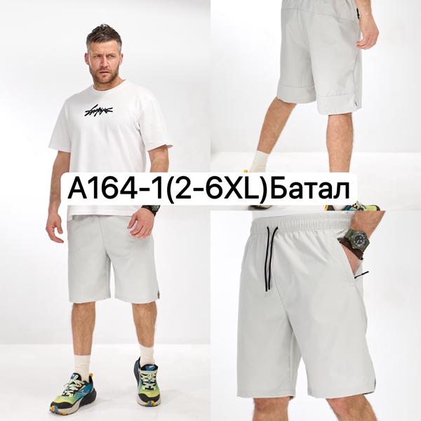 Шорты LiOpt (2XL-6XL) A164-1 l.grey (лето)