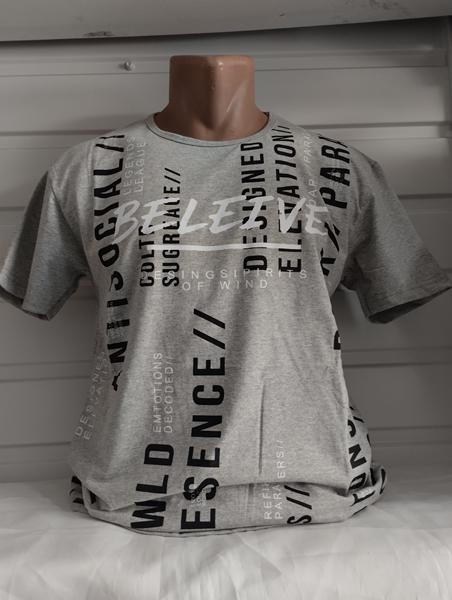 Футболка Panda (S-2XL) 1804 grey (лето)