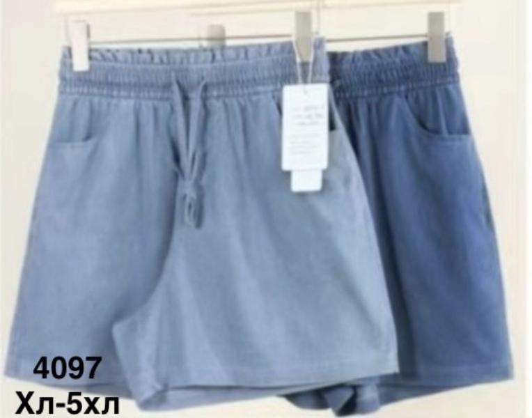 Шорты Minh (XL-5XL) 4097 mix (лето)