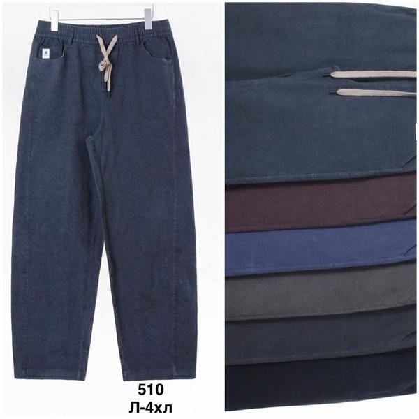 Штаны Minh (L-4XL) 510 mix (деми)