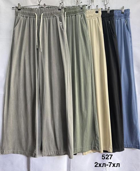 Штаны Minh (44-52) 527 mix (лето)