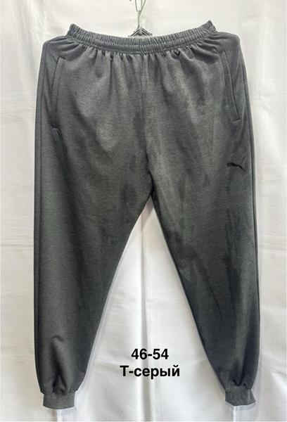 Штаны спорт Minh (46-54) MH700 grey (деми)