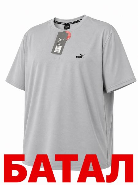 Футболка Alex Clothes (2XL-6XL) 14342 grey (лето)