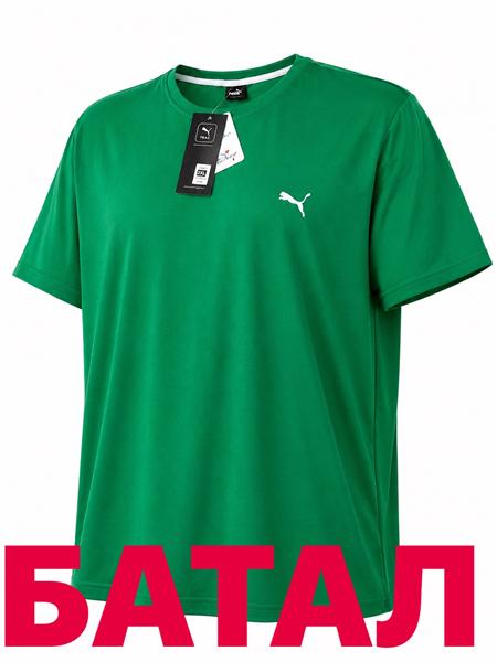 Футболка Alex Clothes (2XL-6XL) 14355 green (лето)