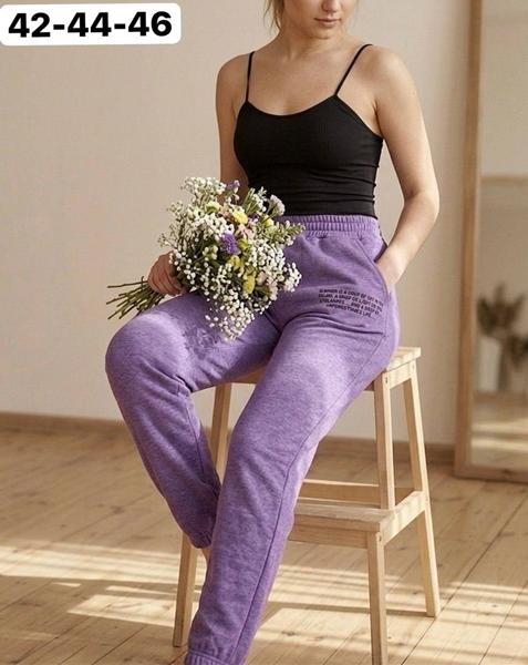 Штаны спорт BAT (42-46) 1537 purple (деми)