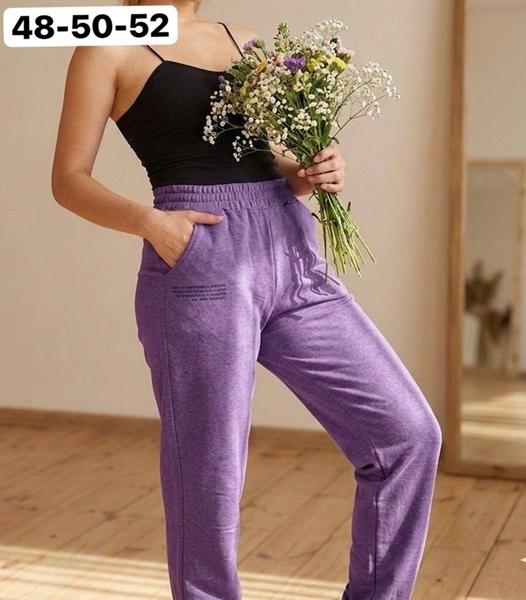 Штаны спорт BAT (48-52) 1537-2 purple (деми)