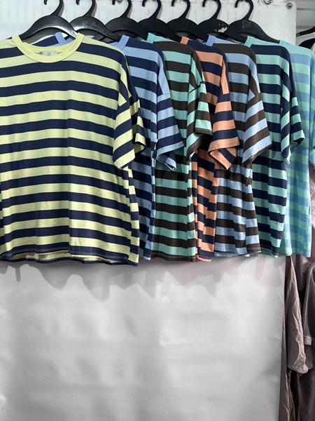 Футболка Emsweekis (50-54) E1701 l.green-navy (лето)