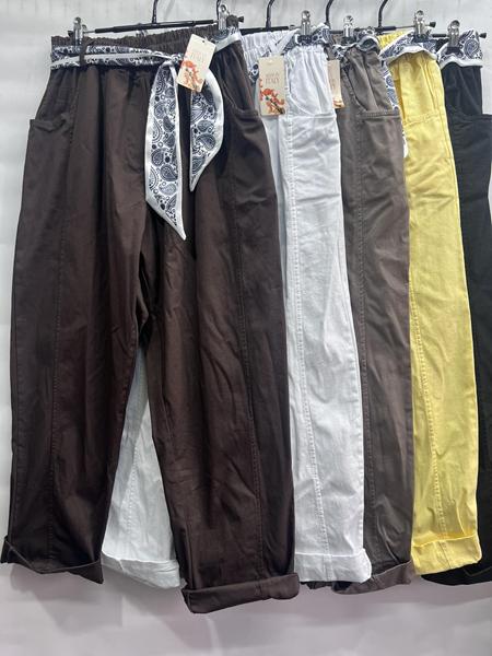 Штаны Emsweekis (50-54) E1767 brown (деми)