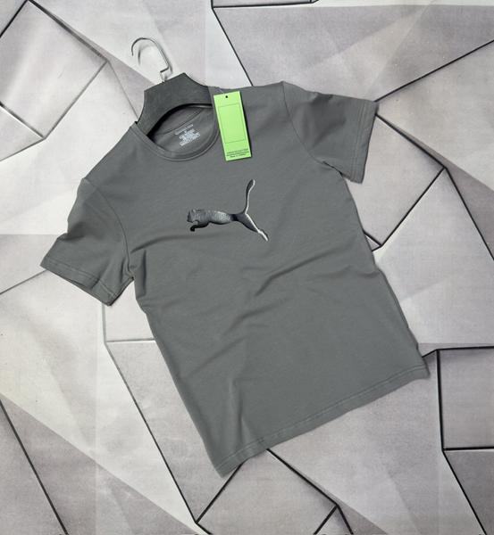 Футболка Rassul (S-2XL) 67057 grey (лето)