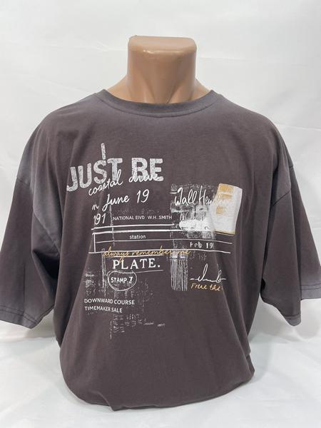 Футболка Sabihina (S-2XL) SB2013 brown (лето)