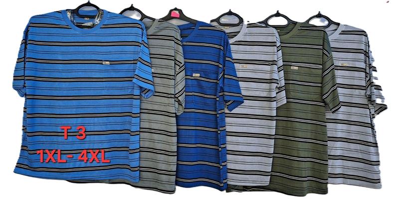 Футболка Anion (XL-4XL) T3 mix (лето)