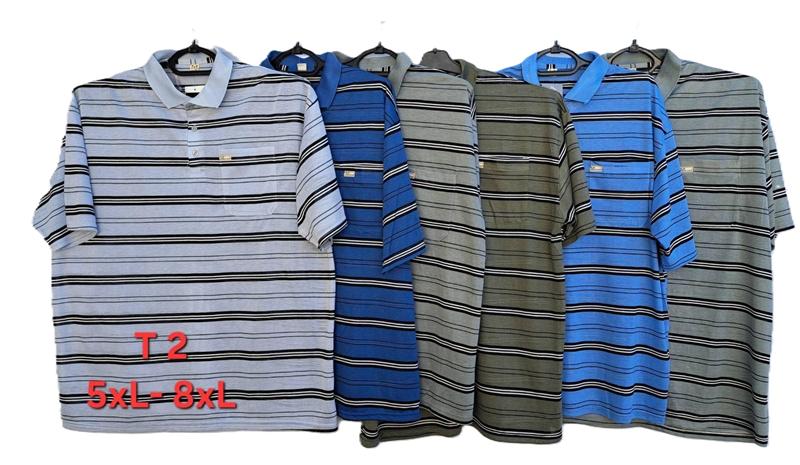 Футболка Anion (5XL-8XL) T2 mix (лето)