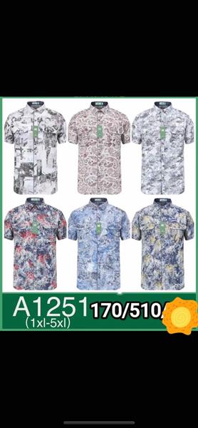 Рубашка Anion (XL-5XL) A1251 mix (лето)