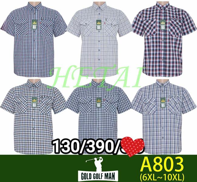 Рубашка Anion (10XL-18XL) A803 mix (лето)