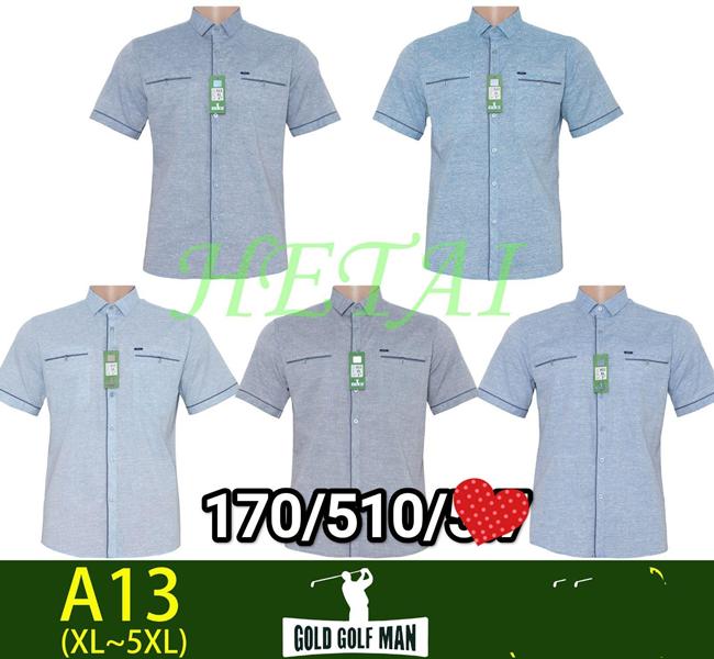 Рубашка Anion (XL-5XL) A13 mix (лето)