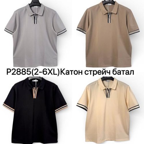 Футболка Ale-Ate (2XL-6XL) P2885 brown (лето) Ale-Ate P2885 brown