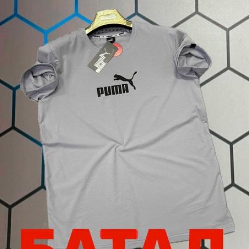 Футболка Alex Clothes (2XL-6XL) 13992 grey (лето) Alex Clothes 13992 grey