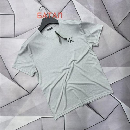 Футболка Rassul (2XL-6XL) 66669 l.grey (лето) Rassul 66669 l.grey