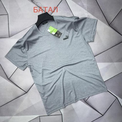 Футболка Rassul (2XL-6XL) 66686 grey (лето) Rassul 66686 grey