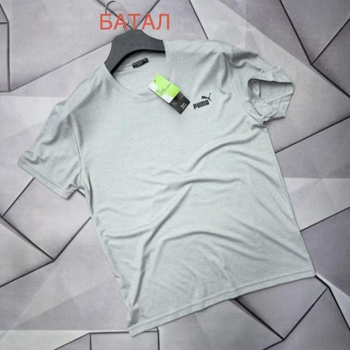 Футболка Rassul (2XL-6XL) 66687 grey (лето) Rassul 66687 grey