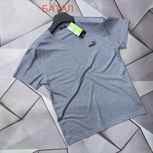 Футболка Rassul (2XL-6XL) 66689 grey (лето) Rassul 66689 grey