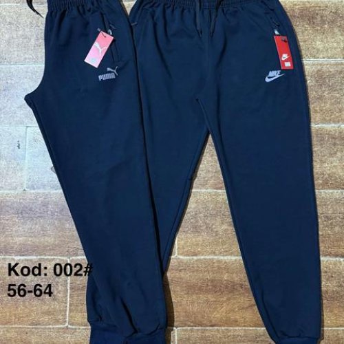 Штаны спорт Ayden (56-64) 002P navy (деми) Ayden 002P navy