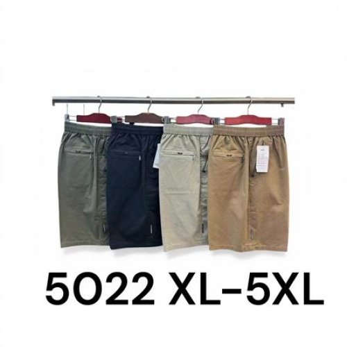 Шорты LiOpt (XL-5XL) 5022 grey (лето) LiOpt 5022 grey