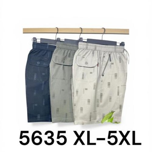 Шорты LiOpt (XL-5XL) 5635 l.grey (лето) LiOpt 5635 l.grey