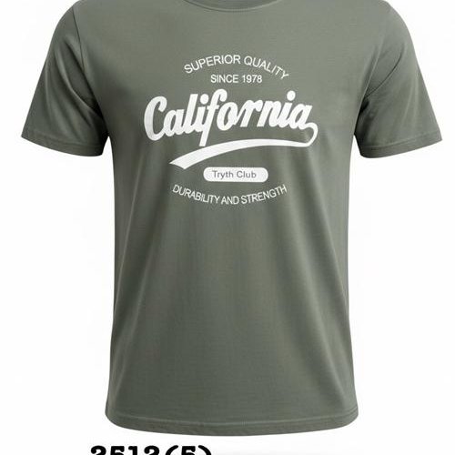 Футболка LiOpt (48-58) 2512-5 olive (лето) LiOpt 2512-5 olive