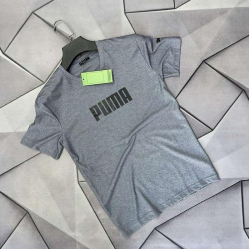 Футболка Rassul (S-2XL) 66811 grey (лето) Rassul 66811 grey