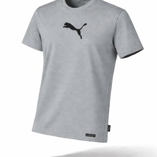 Шорты Alex Clothes (S-2XL) 14099 grey (лето) Alex Clothes 14099 grey