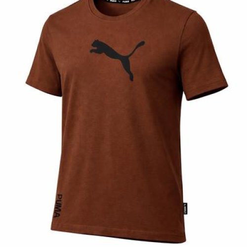 Футболка Alex Clothes (S-2XL) 14106 brown (лето) Alex Clothes 14106 brown