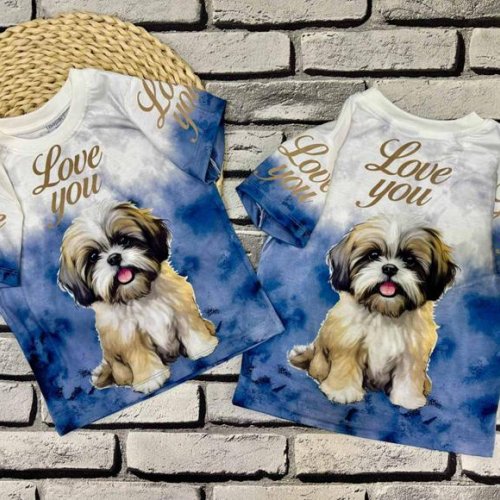 Футболка Dino (3-7) DN462 blue (лето) Dino DN462 blue