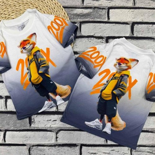 Футболка Dino (3-7) DN465 grey (лето) Dino DN465 grey