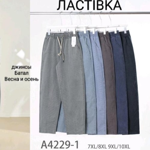 Штаны Hoan (7XL-10XL) A4249-1 mix (деми) Hoan A4249-1 mix